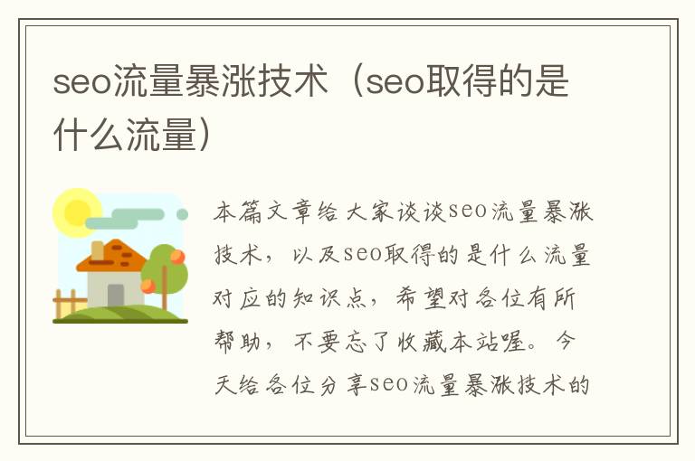 seo流量暴涨技术（seo取得的是什么流量）