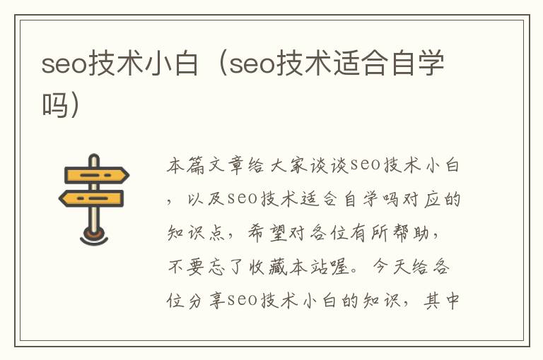 seo技术小白（seo技术适合自学吗）