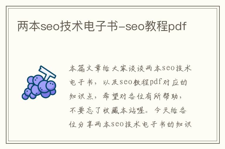 两本seo技术电子书-seo教程pdf