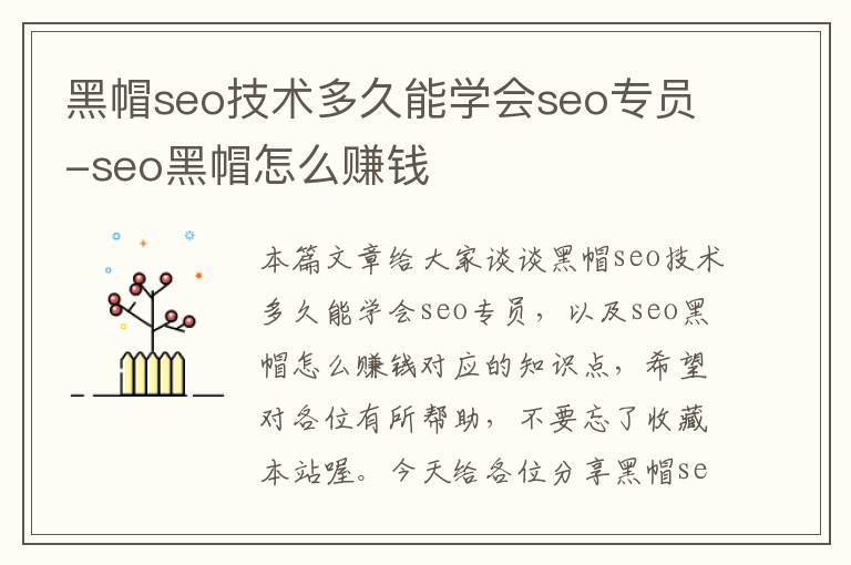 黑帽seo技术多久能学会seo专员-seo黑帽怎么赚钱