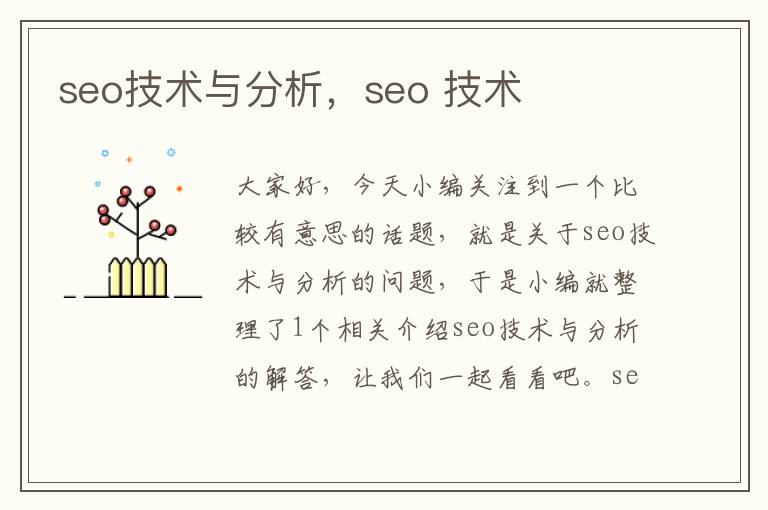 seo技术与分析，seo 技术