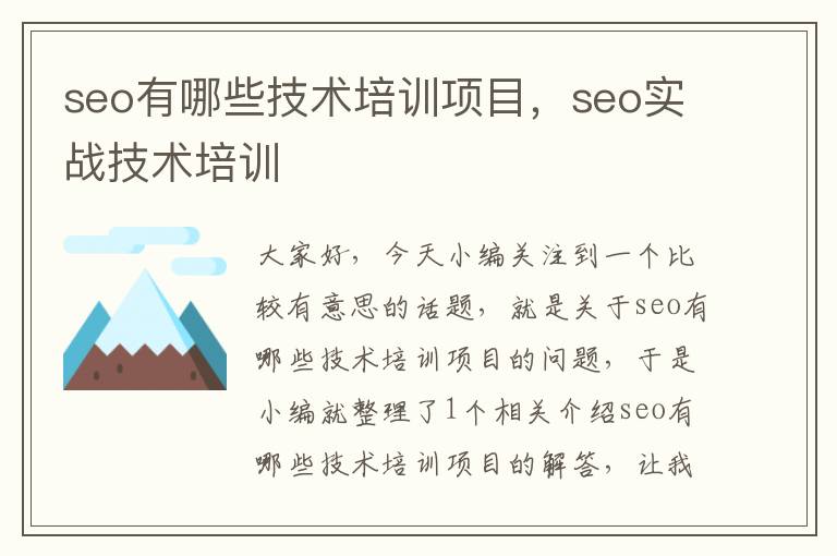 seo有哪些技术培训项目，seo实战技术培训