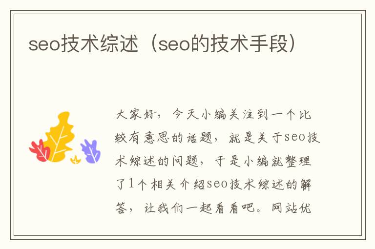 seo技术综述（seo的技术手段）