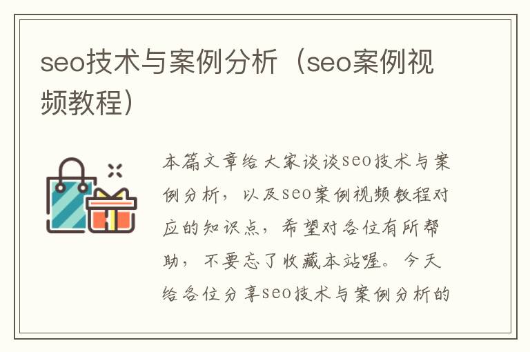 seo技术与案例分析（seo案例视频教程）